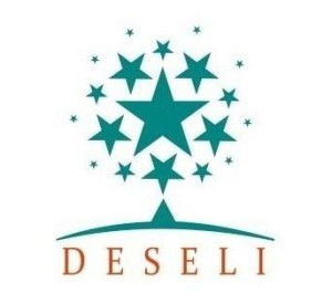 福建大森林文化傳播 連接傳統(tǒng)與現(xiàn)代的綠色紐帶